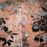 copyright, Tanja Softić
